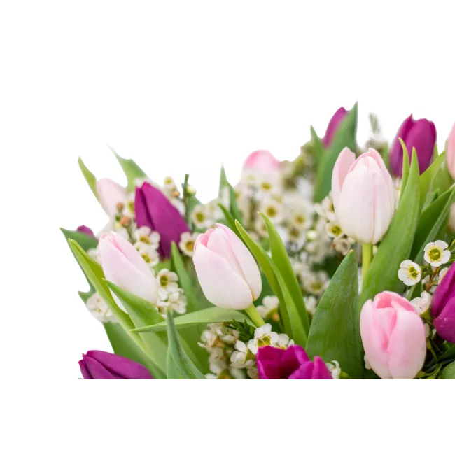 Bouquet of tulips purple